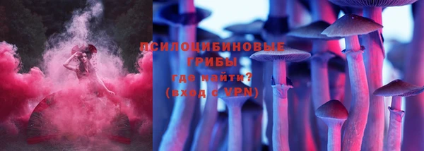 прущие крисы Абинск