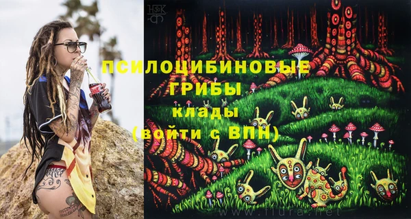 МДПВ Абдулино