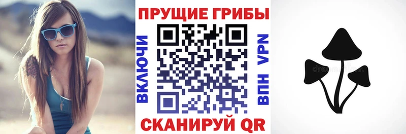 blacksprut маркетплейс  где купить наркоту  Альметьевск  Галлюциногенные грибы ЛСД 
